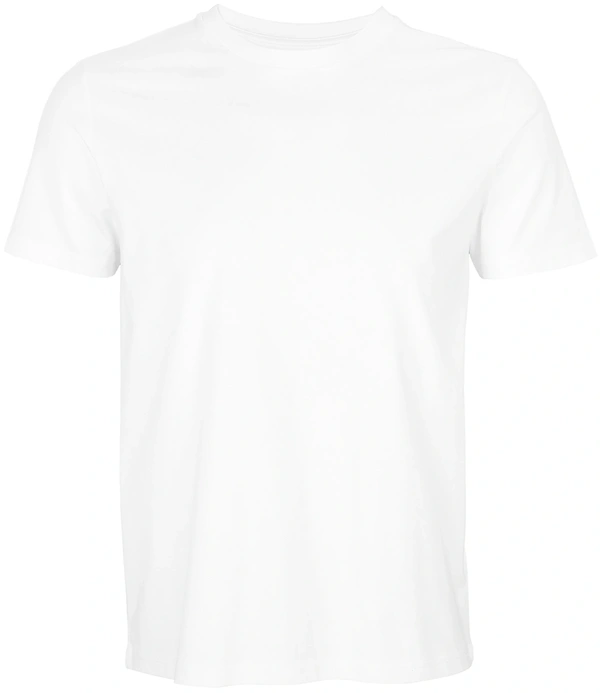 Arctic White